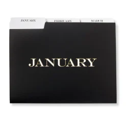 Avant-Garde Monthly File Folders (set of 12)