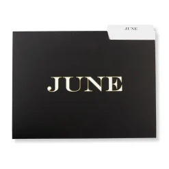 Avant-Garde Monthly File Folders (set of 12)