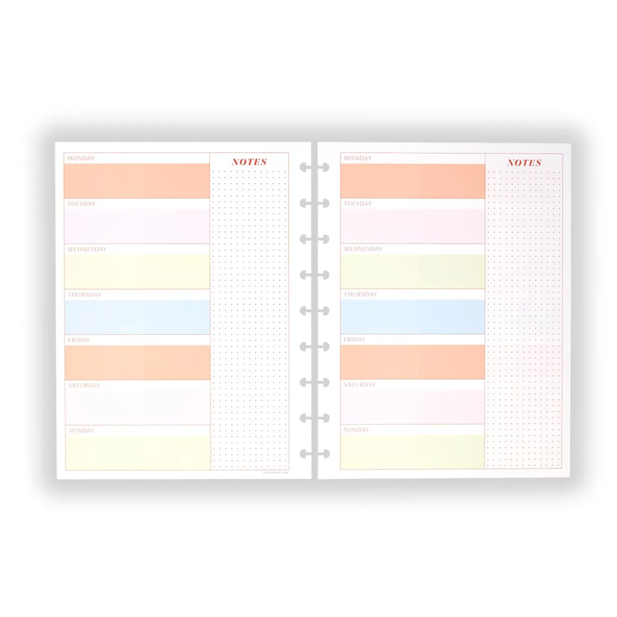 Circa Colorfull Weekly/Monthly Undated Agenda Refill (40 sheets)