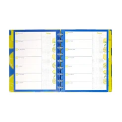 Circa Lemonade Weekly/Monthly Undated Agenda Notebook