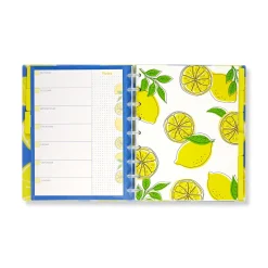 Circa Lemonade Weekly/Monthly Undated Agenda Notebook