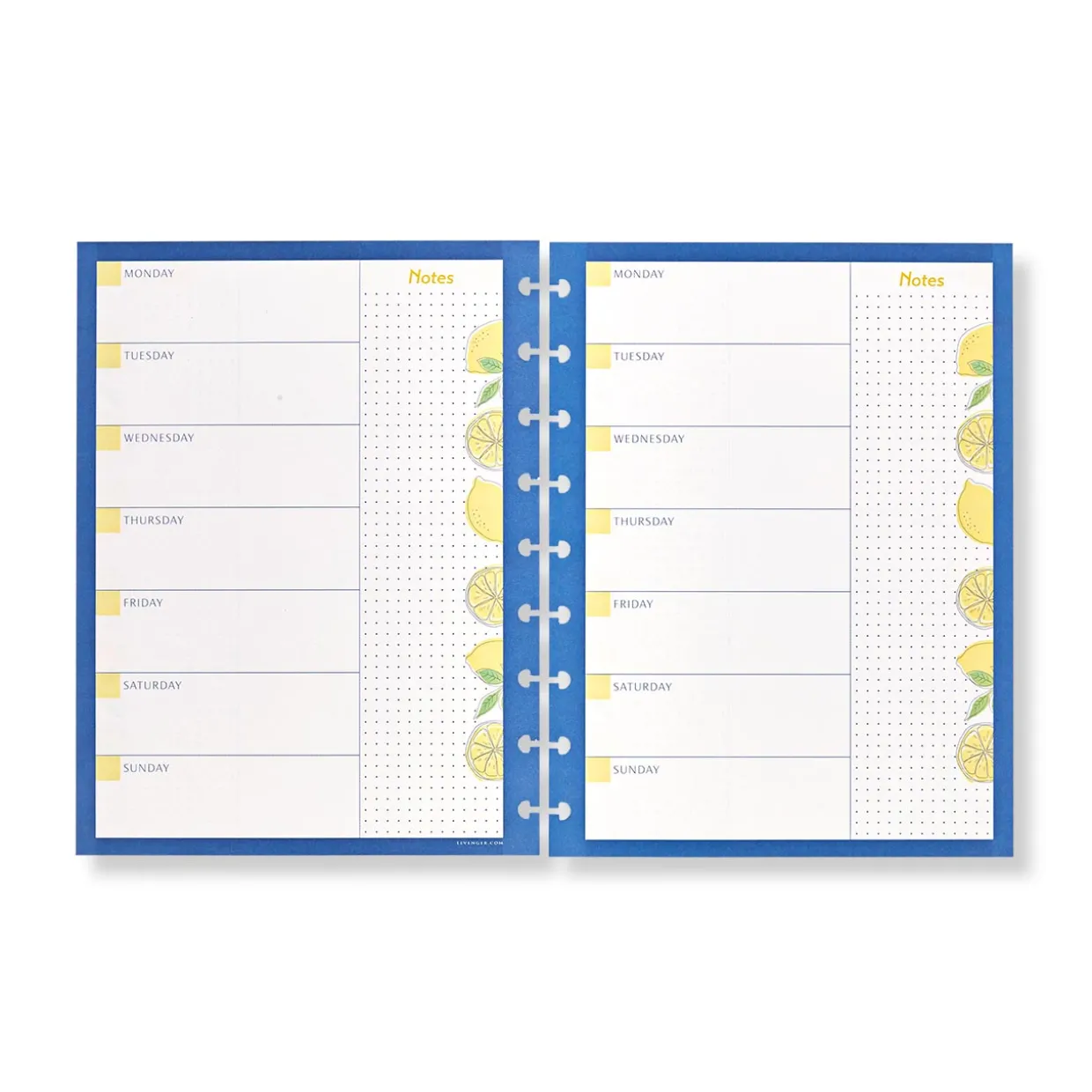 Circa Lemonade Weekly/Monthly Undated Agenda Refill (40 sheets)