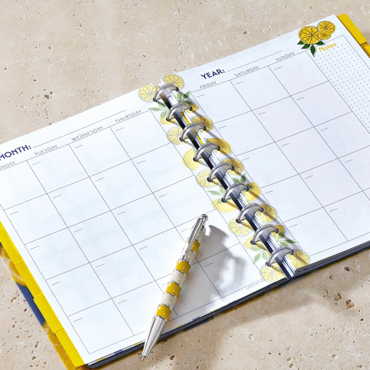 Circa Lemonade Weekly/Monthly Undated Agenda Refill (40 sheets)