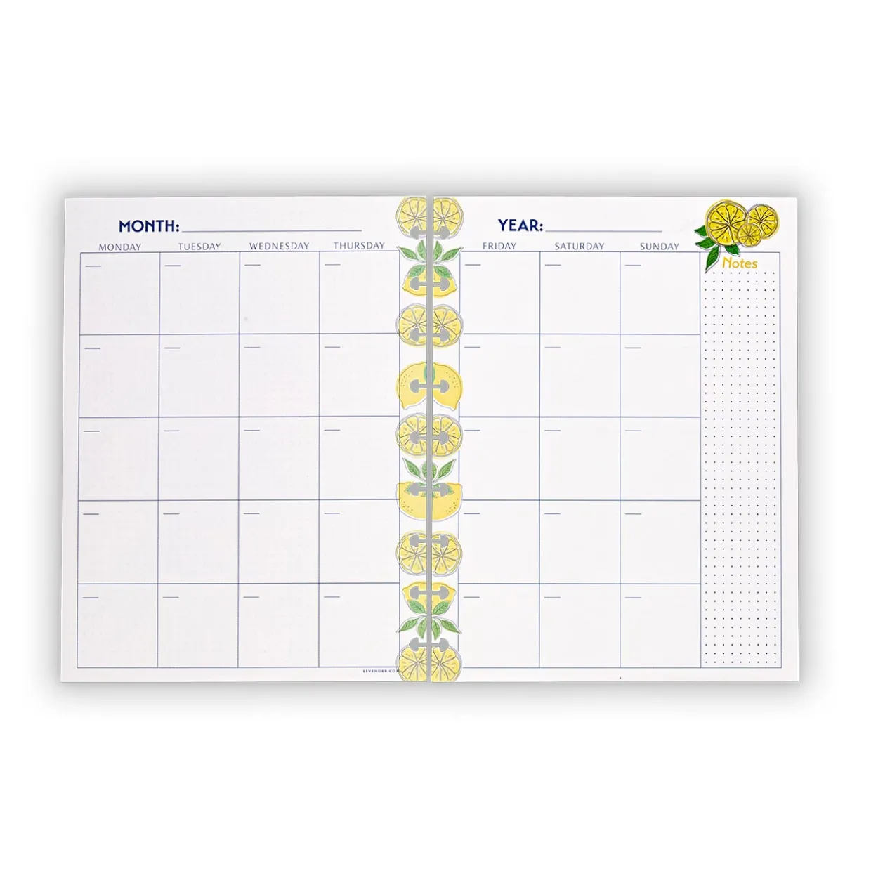 Circa Lemonade Weekly/Monthly Undated Agenda Refill (40 sheets)