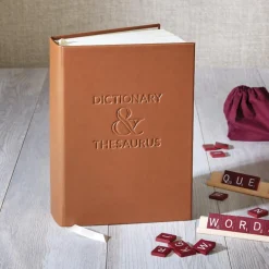 Dictionary & Thesaurus