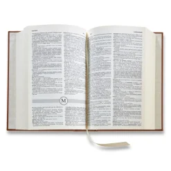 Dictionary & Thesaurus