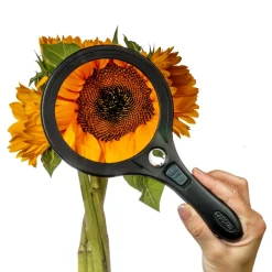 Handheld Large LED Magnifier