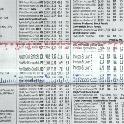 Magnifier Ruler