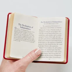 Mini Constitution