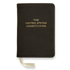 Mini Constitution