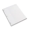 3-Ring Annotation Ruled Refill (100 sheets)