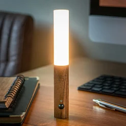 Smart Baton Light