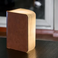 Smart Book Light