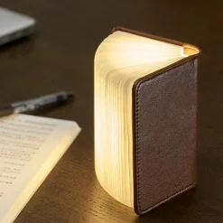 Smart Book Light