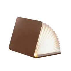 Smart Book Light