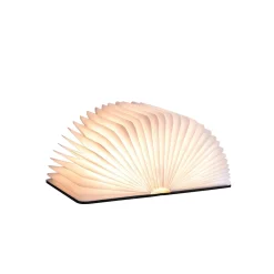 Smart Book Light