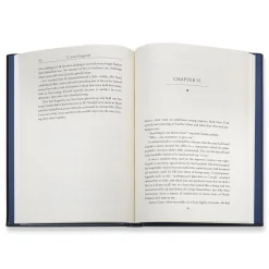 The Great Gatsby Book