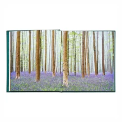 The Hidden Life of Trees Leather Bound Edition