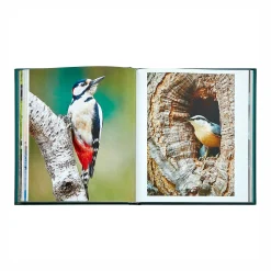 The Hidden Life of Trees Leather Bound Edition
