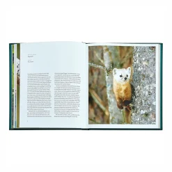 The Hidden Life of Trees Leather Bound Edition