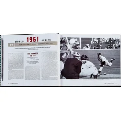 The World Series Book
