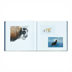 Yellowstone: A Land of Wild and Wonder Leather Bound Edition
