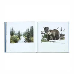 Yellowstone: A Land of Wild and Wonder Leather Bound Edition